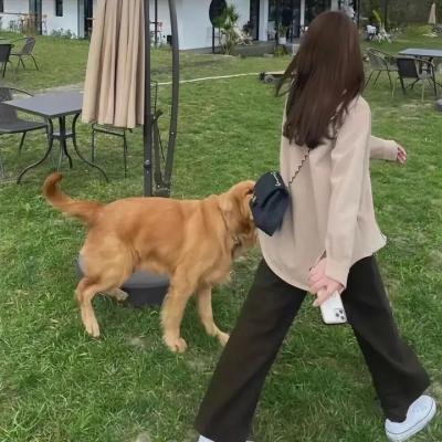 时光尽头的恋人