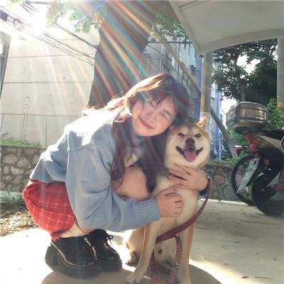 鬣狗式生存