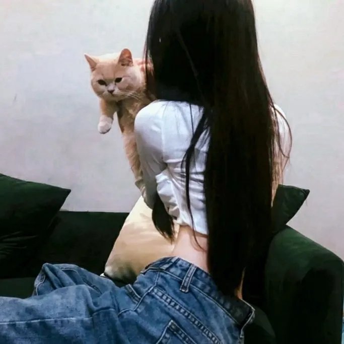 剧终集